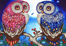 Load image into Gallery viewer, Crystal Rhinestone Diamond Painting Kit | Animal Owl

