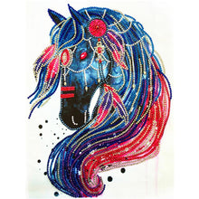 Load image into Gallery viewer, Crystal Rhinestone Diamond Painting Kit | Animal horse
