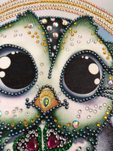 Load image into Gallery viewer, Crystal Rhinestone Diamond Painting Kit | Cartoon Owl
