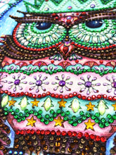 Load image into Gallery viewer, Crystal Rhinestone Diamond Painting Kit | Cartoon Owl
