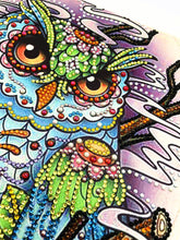 Load image into Gallery viewer, Crystal Rhinestone Diamond Painting Kit | Animal Owl

