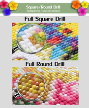 Load image into Gallery viewer, Full Diamond Painting kit | Beautiful shells
