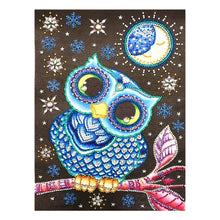 Load image into Gallery viewer, Crystal Rhinestone Diamond Painting Kit | Cartoon Animal Owl
