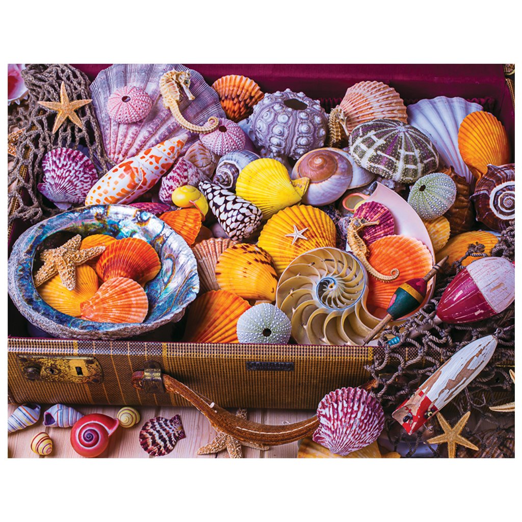 Full Diamond Painting kit | Beautiful shells