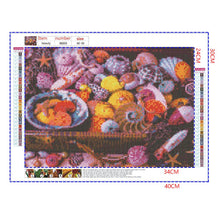 Load image into Gallery viewer, Full Diamond Painting kit | Beautiful shells

