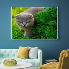 Load image into Gallery viewer, Full Diamond Painting kit | Cute Russian Blue cat
