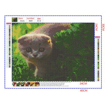 Load image into Gallery viewer, Full Diamond Painting kit | Cute Russian Blue cat
