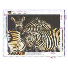 Load image into Gallery viewer, Full Diamond Painting kit | Animal zebra
