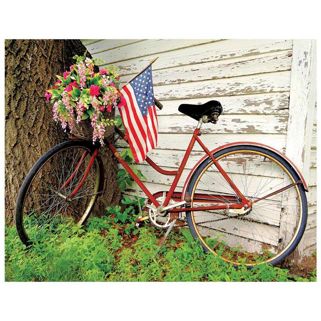 Full Diamond Painting kit | Flower basket on the front of bicycle