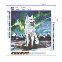 Load image into Gallery viewer, Full Diamond Painting kit | Samoyed dog under the starry night
