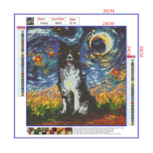 Load image into Gallery viewer, Full Diamond Painting kit | Border Collie under the beautiful starry sky
