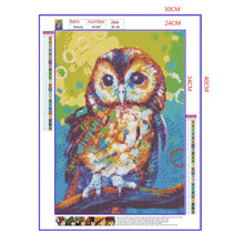 Load image into Gallery viewer, Full Diamond Painting kit | Watercolor owl
