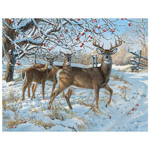 Load image into Gallery viewer, Full Diamond Painting kit | White-tailed Deer family on the snow
