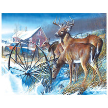 Load image into Gallery viewer, Full Diamond Painting kit | White-tailed Deer family foraging
