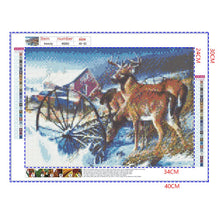 Load image into Gallery viewer, Full Diamond Painting kit | White-tailed Deer family foraging
