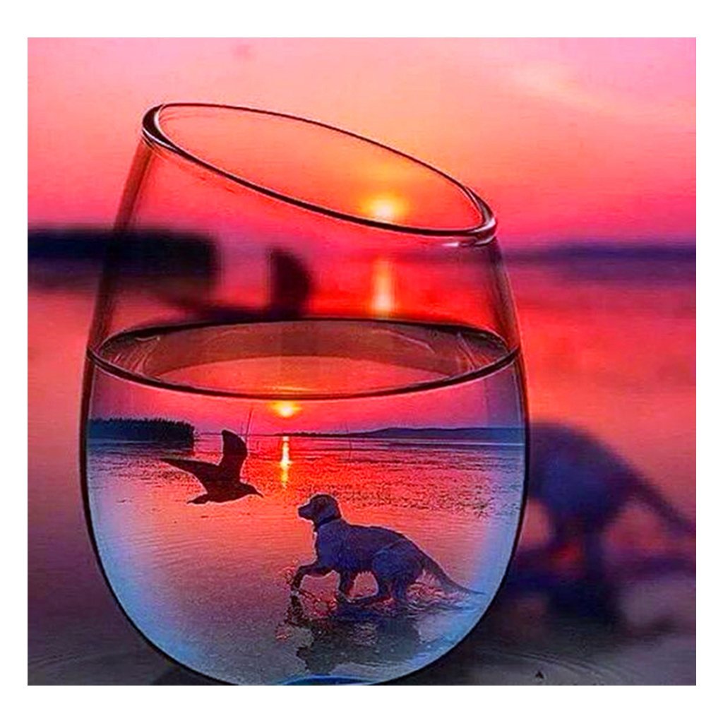 Full Diamond Painting kit | The reflection of a dog and a Seagull in glass