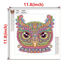 Load image into Gallery viewer, Crystal Rhinestone Diamond Painting Kit | Cartoon Owl
