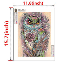 Load image into Gallery viewer, Crystal Rhinestone Diamond Painting Kit | Animal Owl
