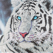 Load image into Gallery viewer, Crystal Rhinestone Diamond Painting Kit | White tiger
