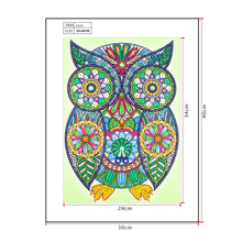 Load image into Gallery viewer, Crystal Rhinestone Diamond Painting Kit | Owl
