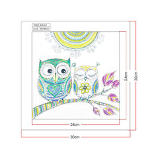 Load image into Gallery viewer, Crystal Rhinestone Diamond Painting Kit | Cartoon Cute Owl
