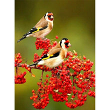 Load image into Gallery viewer, Full Diamond Painting kit | Goldfinch
