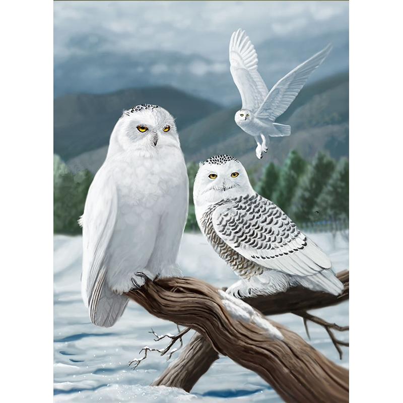 Full Diamond Painting kit | White owl