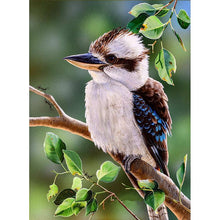 Load image into Gallery viewer, Full Diamond Painting kit | Laughing Kookaburra
