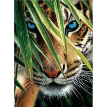 Load image into Gallery viewer, Full Diamond Painting kit | Wild tiger
