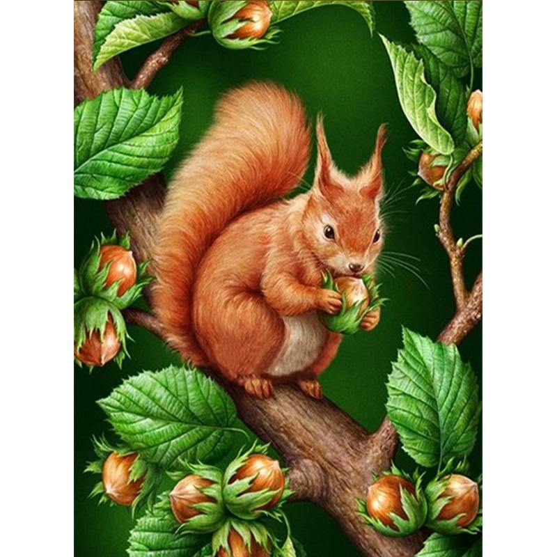 Full Diamond Painting kit | Squirrel