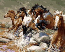 Load image into Gallery viewer, DIY Painting by number kit | Horses galloping
