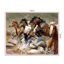 Load image into Gallery viewer, DIY Painting by number kit | Horses galloping
