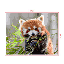 Load image into Gallery viewer, DIY Painting by number kit | Animal Raccoon
