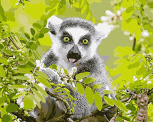 Load image into Gallery viewer, DIY Painting by number kit | Animal Ring-tailed Lemur
