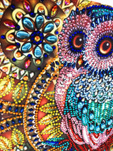 Load image into Gallery viewer, Crystal Rhinestone Diamond Painting Kit | Owl
