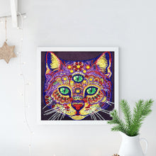 Load image into Gallery viewer, Crystal Rhinestone diamond painting kit | three-eyed civet cat
